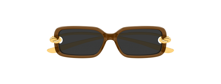 Bottega Veneta BV1439S-005...