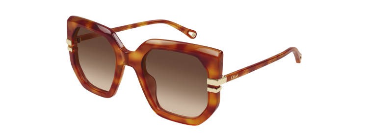 Chloé CH0240S-007 - Havane / Brun