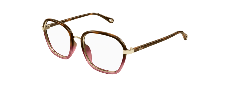 Chloé CH0309O-001 - Havane / Transparent