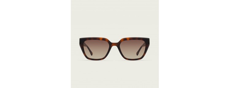 Charlett MOD 2059 2059.155 - Havana...