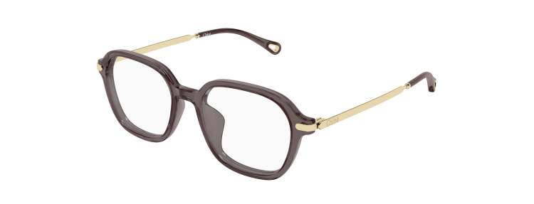 Chloé CH0361OA-001 - Brun / Transparent