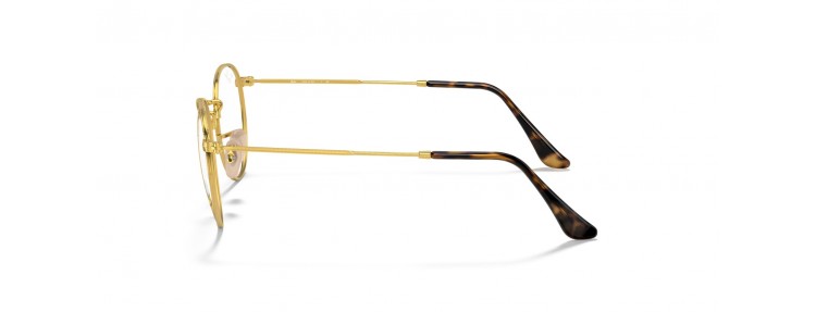 Ray-Ban RX3447V 2945 Round...