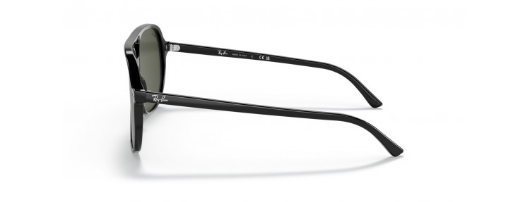 Ray-Ban RB2198 901/31 Bill...