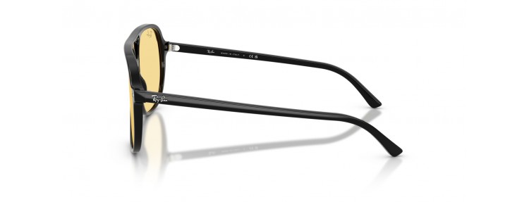 Ray-Ban RB2198 901/R6 Bill...