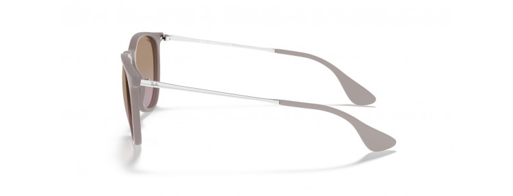 Ray-Ban RB4171 600068 Erika...