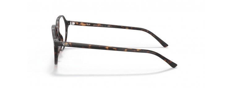 Ray-Ban RX5395 2012 Thalia...