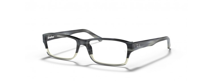 Ray-Ban RX5169 5540 - Gris - 54 mm