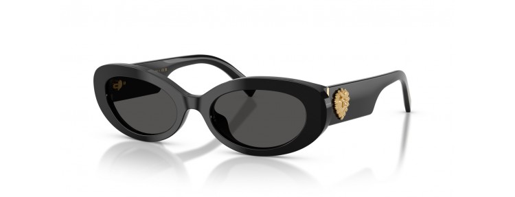 Dolce&Gabbana DG4537 501/87 - Noir /...