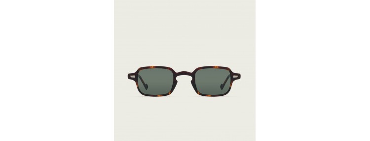 Charlett MOD 2011 2011.15 - Tortoise