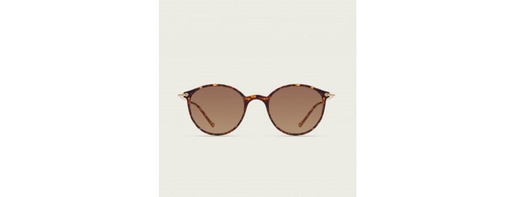 Charlett MOD 2002 2002.15 - Tortoise