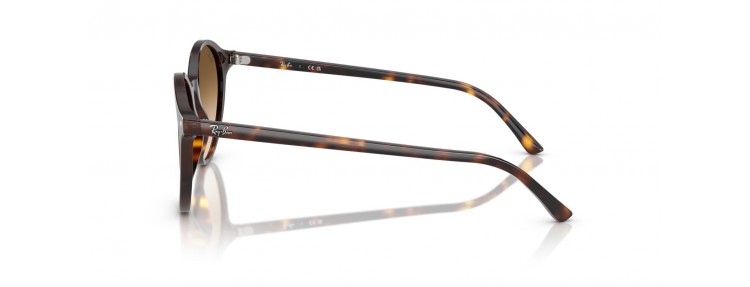 Ray-Ban RB2230 902/51...