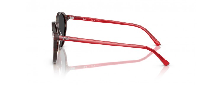 Ray-Ban RB2230 141948...