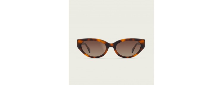 Charlett MOD 2058 2058.155 - Havana...