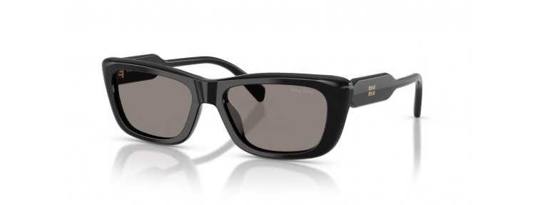 Miu Miu MU B12S 16K80Q - Noir / Gris...