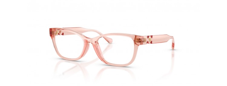 Versace VK3016U 5549 - Pêche...