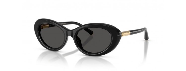Dolce&Gabbana DG4519 501/87 - Noir /...