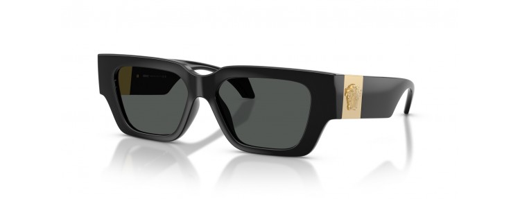 Versace VE4497U GB1/87 - Noir / Gris...