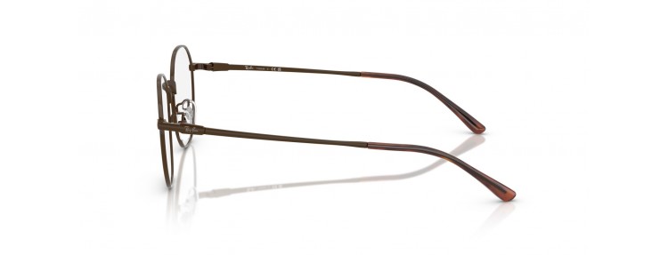 Ray-Ban RX8778D 1254 - Brun...