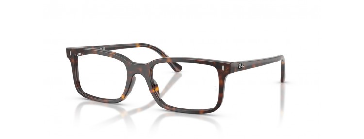 Ray-Ban RX5445 2012 - Havana - 52 /...