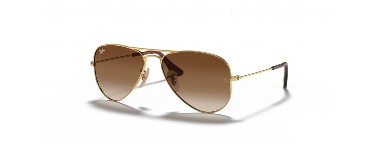 Ray-Ban RJ9506S 223/13...