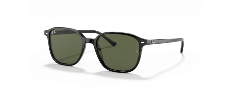 Ray-Ban RB2193 901/31 Leonard - Noir...