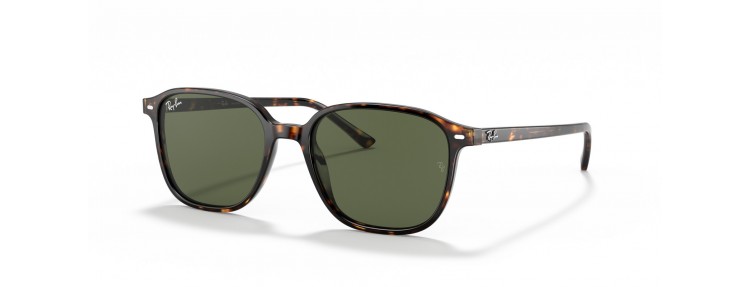 Ray-Ban RB2193 902/31 Leonard -...