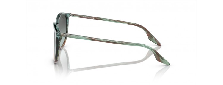Ray-Ban RB2204 1394GK -...