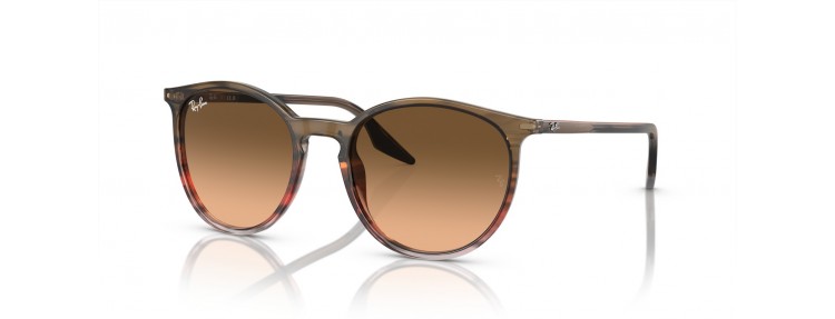 Ray-Ban RB2204 13953B - Rayé marron...