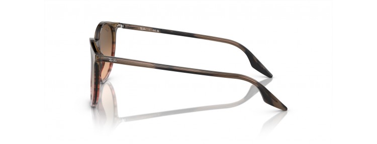 Ray-Ban RB2204 13953B -...