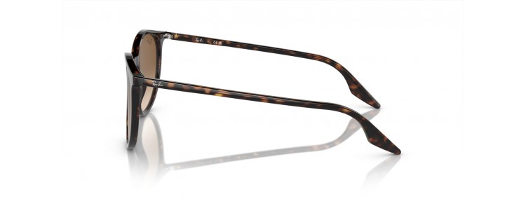 Ray-Ban RB2204 902/51 -...