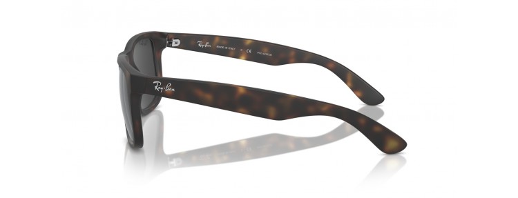 Ray-Ban RB4165 865/87...
