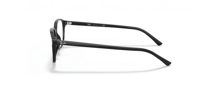 Ray-Ban RX5393 2000 Leonard...