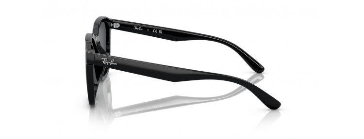 Ray-Ban RB4392D 601/87 -...
