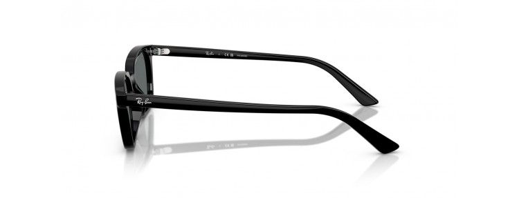 Ray-Ban RB4456 667781 Zaya...