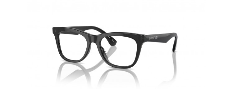 Burberry JB2012 4112 - Gris - 45 / 47 mm