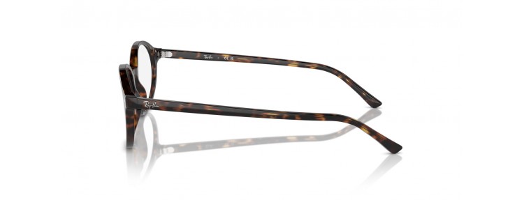 Ray-Ban RX5429 2012 German...