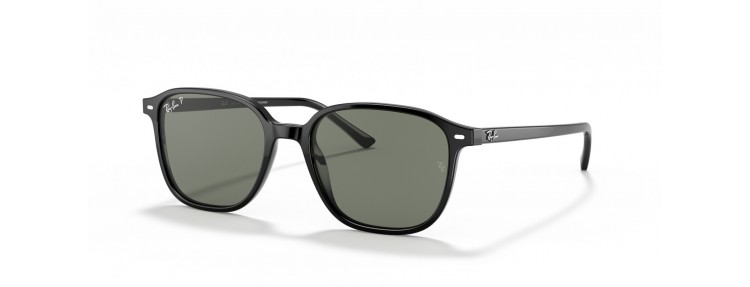 Ray-Ban RB2193 901/58 Leonard - Noir...