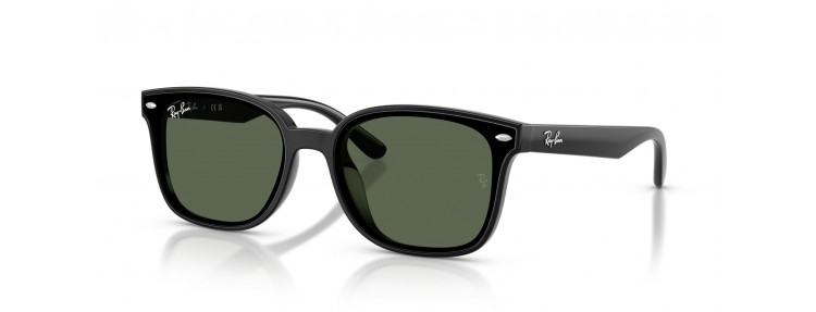 Ray-Ban RB4461D 601/71 - Noir / Vert...