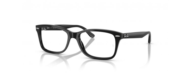 Ray-Ban RX5428 2000 - Noir - 53 / 55 mm