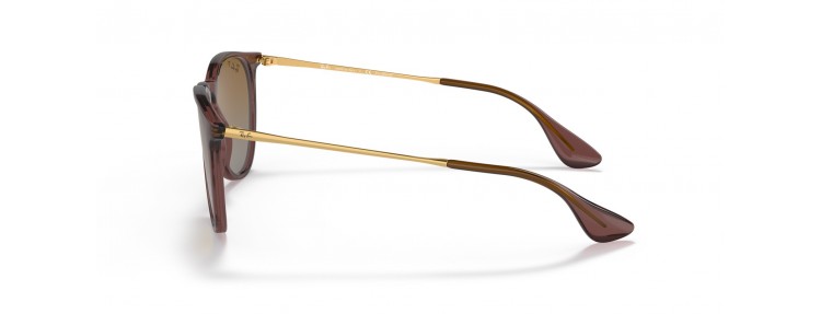Ray-Ban RB4171 6593T5 Erika...