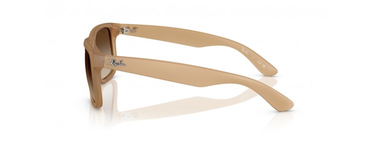 Ray-Ban RB4165 681413...