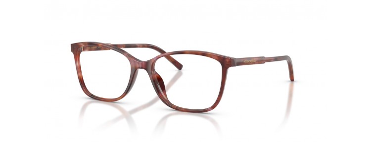 Dolce&Gabbana DG3424 3444 - Havane...