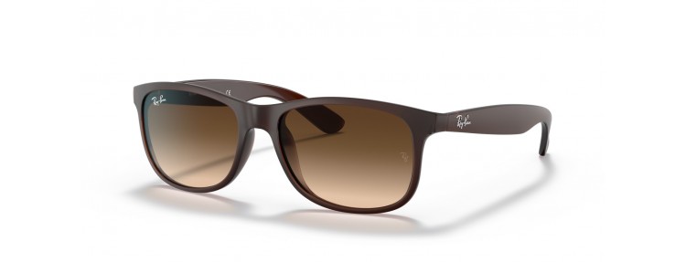 Ray-Ban RB4202 607313 Andy - Brun /...