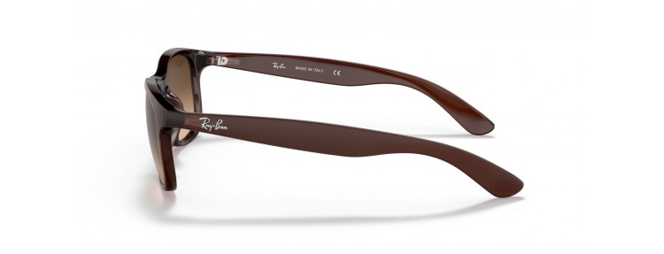 Ray-Ban RB4202 607313 Andy...
