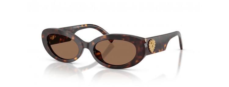 Dolce&Gabbana DG4537 502/73 - Havana...