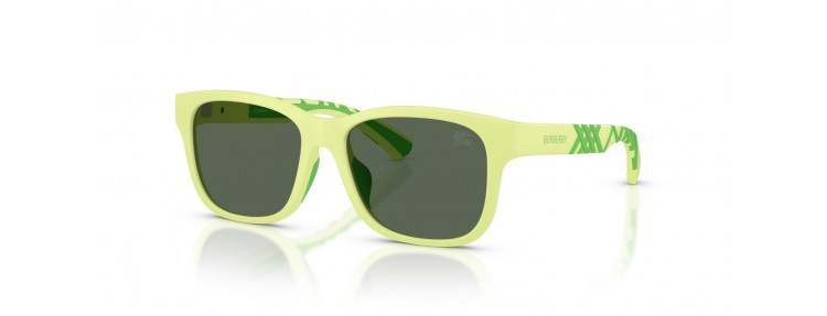 Burberry JB4007U 423771 - Vert / Vert...
