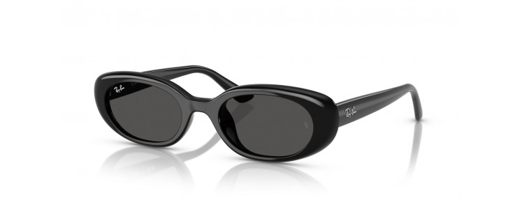 Ray-Ban RB4441D 667787 - Noir / Gris...