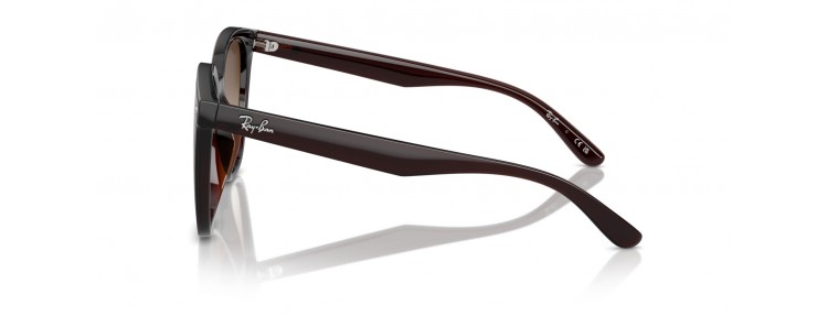 Ray-Ban RB4423D 714/13 -...