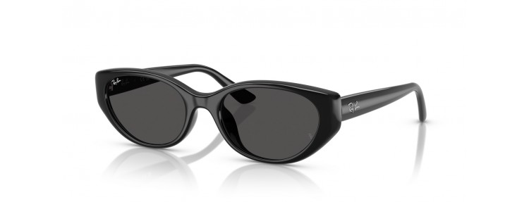 Ray-Ban RB4457D 667787 - Noir / Gris...