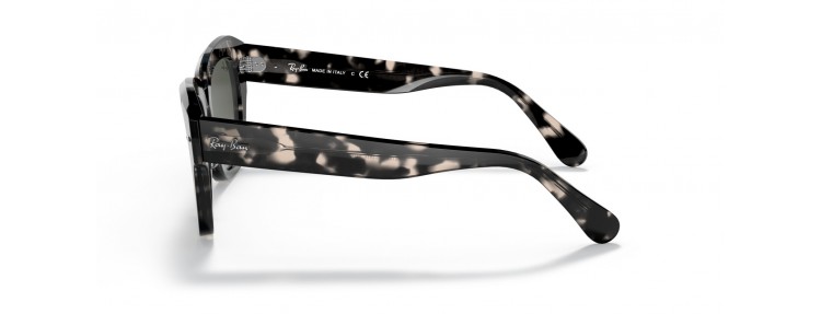 Ray-Ban RB2186 133371 State...